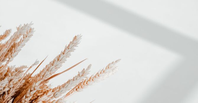 Pre-Treatment Care image